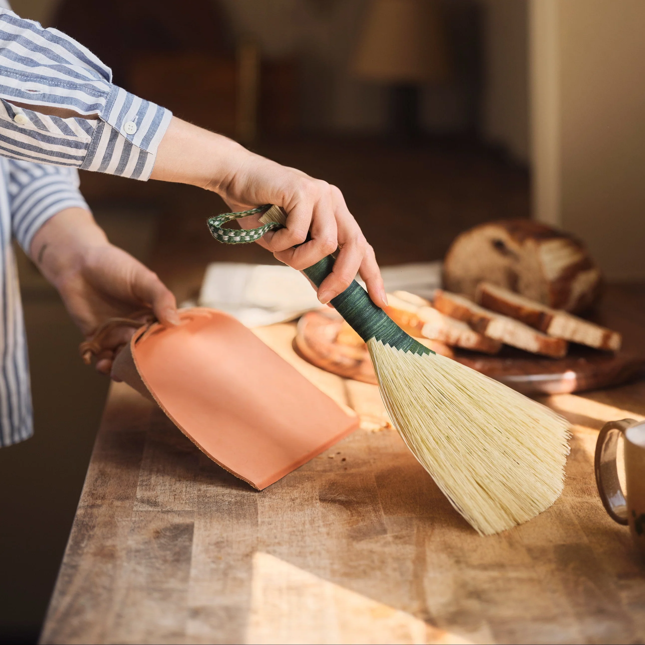 Tampico Wing and Dustpan Set